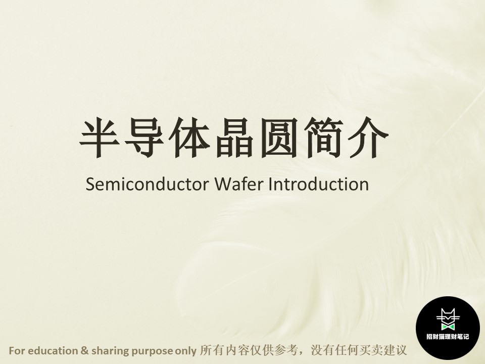 wafer introduction